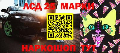 прущие грибы Кингисепп