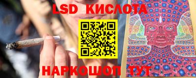 прущие грибы Кингисепп
