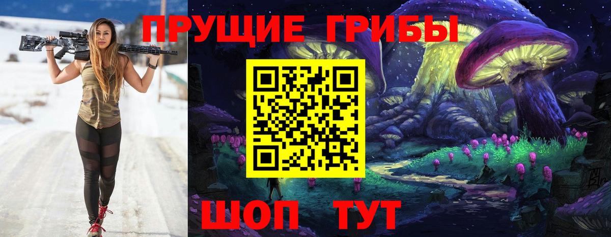 Гурьевск  Галлюциногенные грибы Psilocybine cubensis  Вход с VPN 